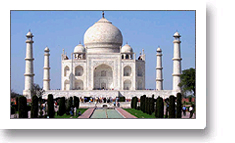 Great Taj Tour